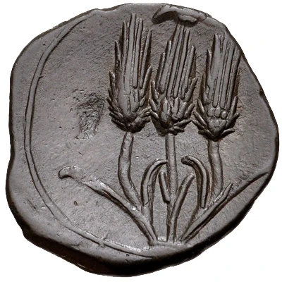 ½ Æ Shekel 241 BC - 238 BC back