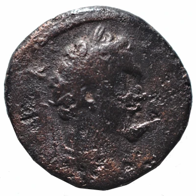 Æ 17 - Septimius Severus front