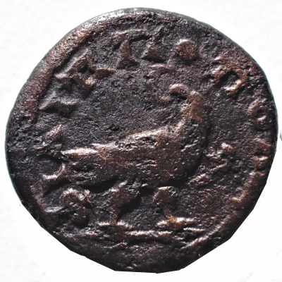 Æ 17 - Septimius Severus back