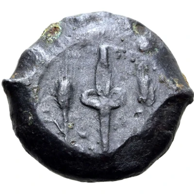 Æ 30 344 BC - 338 BC back