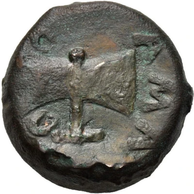 Æ - Amatokos Type II 387 BC - 370 BC back