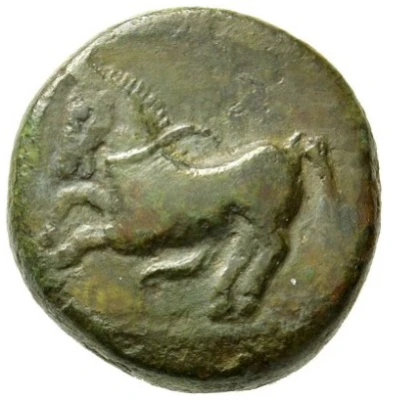 Æ - Amatokos type II 387 BC - 370 BC front