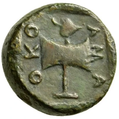 Æ - Amatokos type II 387 BC - 370 BC back