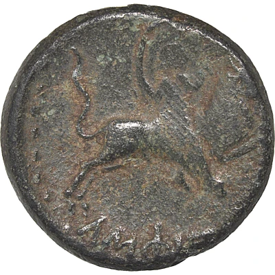 Æ - Augustus Amphipolis 27 BC - 14 AD back