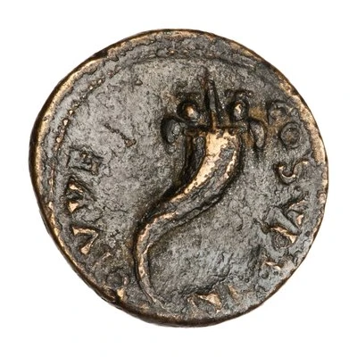 Æ - Domitian COS V PRINC IVVENT S C back