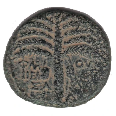 Æ - Domitianus Neapolis back