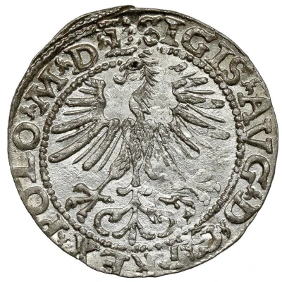 ½ Groat - Sigismund II Augustus 2d eagle, Topor arms front