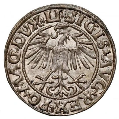 ½ Groat - Sigismund II Augustus 2d eagle front