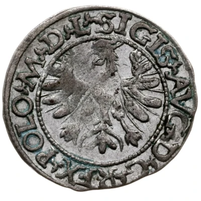 ½ Groat - Sigismund II Augustus Tykocin front