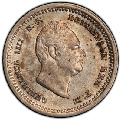 ⅛ Guilder - William IV front