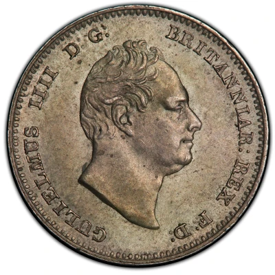 ¼ Guilder - William IV front