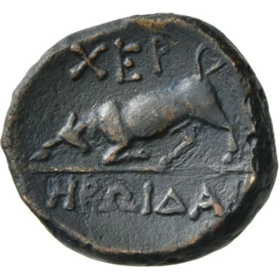 Æ - Heroida... 190 BC - 180 BC back