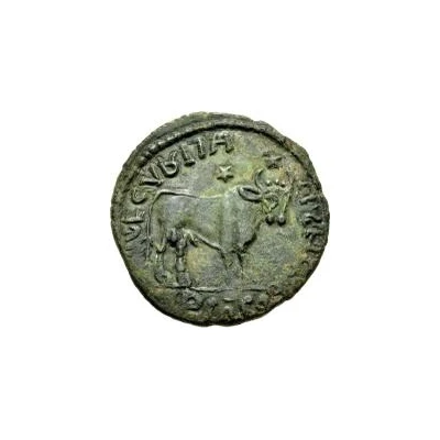 Æ In the name of Julian II; Two stars above bull; bearded bust back