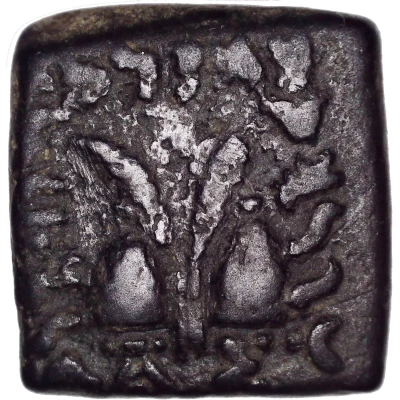 ½ Obol - Antialcidas 115 BC - 95 BC back