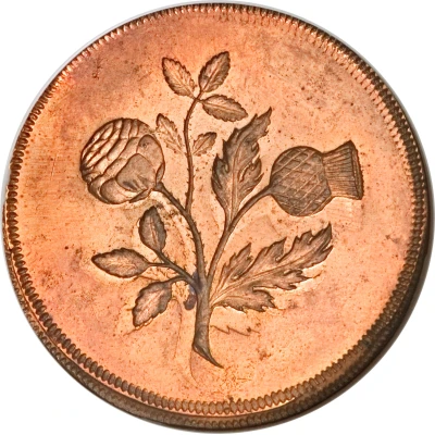 ½ Penny - Anne Pattern ND back