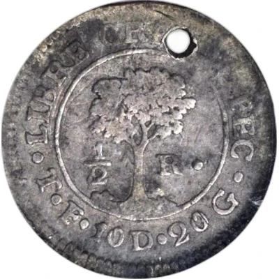 ½ Real Honduras back