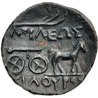 Æ - Scilurus Olbia 140 BC - 130 BC back