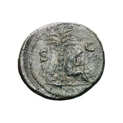 Æ - Titus S C; Judaea back