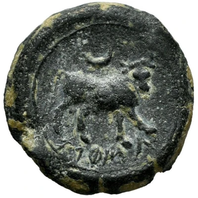 ½ Unit 220 BC - 212 BC back