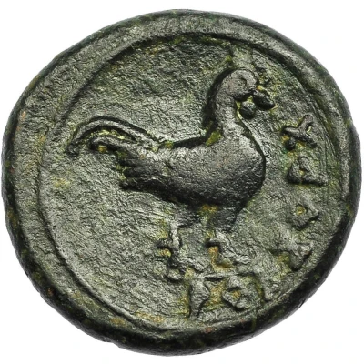 ½ Unit 125 BC - 101 BC back