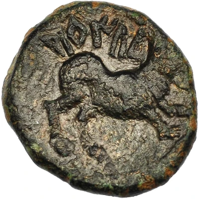 ½ Unit 200 BC - 101 BC back