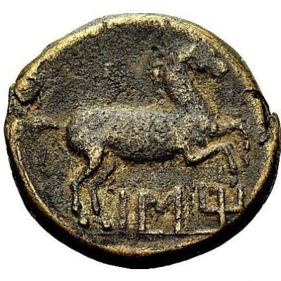 ½ Unit 175 BC - 126 BC back