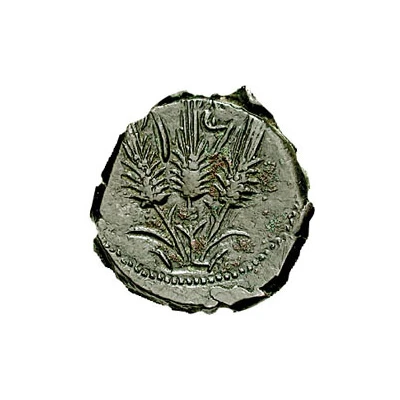 1½ Æ Shekel 241 BC - 238 BC back