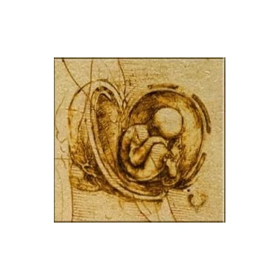 1 Dollar - Elizabeth II Study of an Embryo back