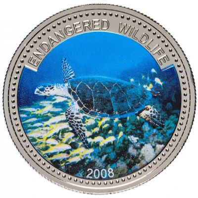 1 Dollar Hawksbill Turtle back