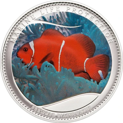 1 Dollar Maroon Clownfish, colored back