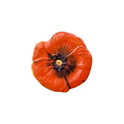 1 Dollar Poppy back