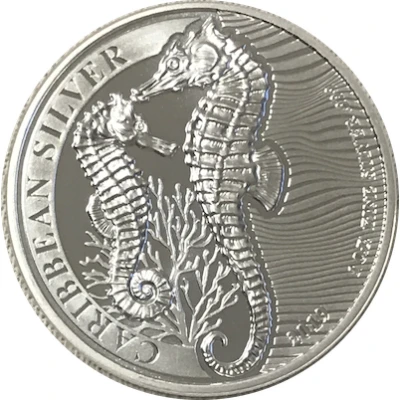 1 Dollar Seahorse back