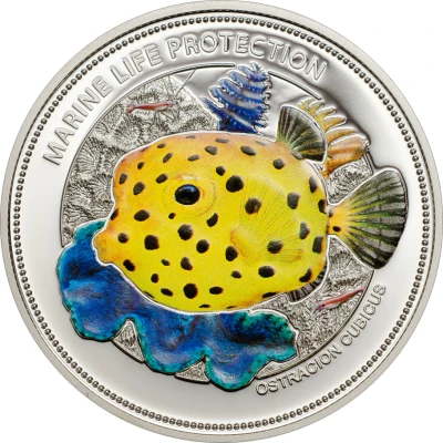 1 Dollar Yellow Boxfish back