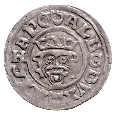 1 Dreiling - Albert VII front