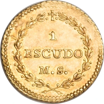 1 Escudo back