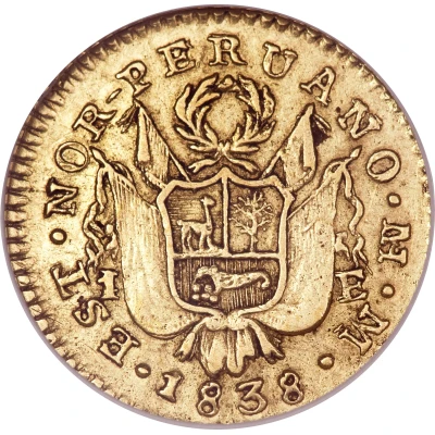 1 Escudo front