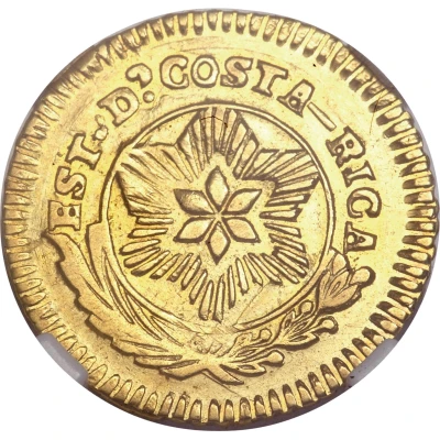 1 Escudo front