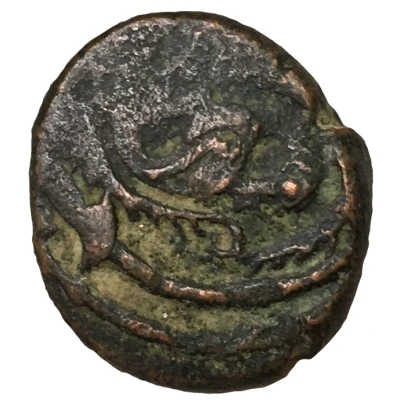 1 Falus Anonymous; Civic copper; Kabul front