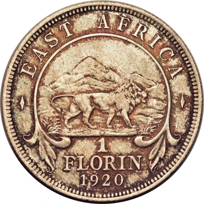 1 Florin - George V back