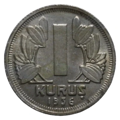 1 Kuruş back