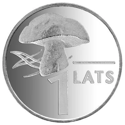 1 Lats Mushroom back