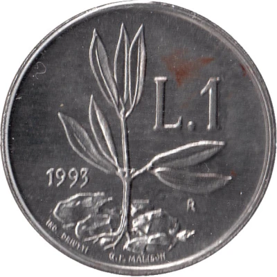 1 Lira Olive Seedling back