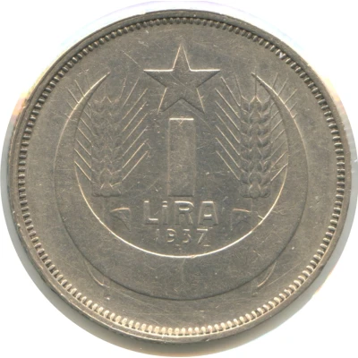 1 Lira back