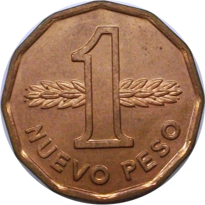 1 Nuevo Peso Pattern back