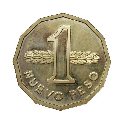 1 Nuevo Peso Pattern back