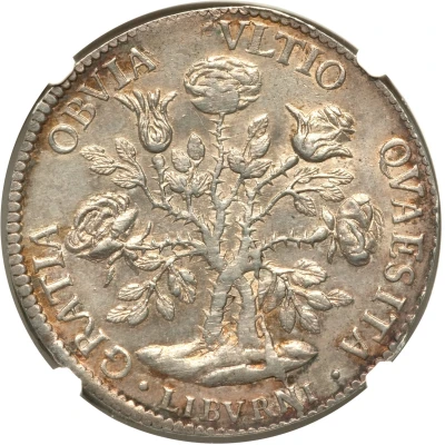 1 Pezza Della Rosa - Cosimo III back