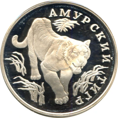 1 Rouble Amur Tiger back