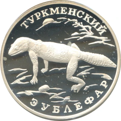 1 Rouble Turkmenian Eublefar Gecko back