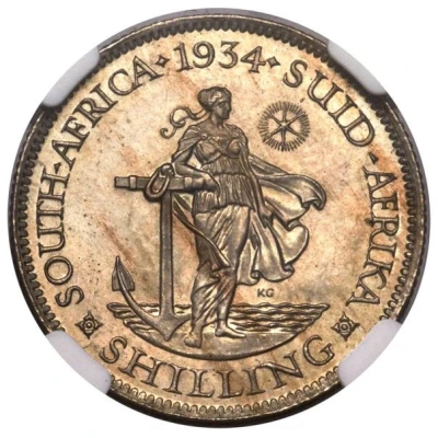 1 Shilling - George V Suid Afrika; Pattern back