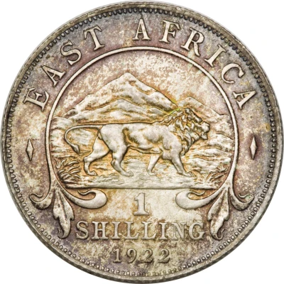 1 Shilling - George V back